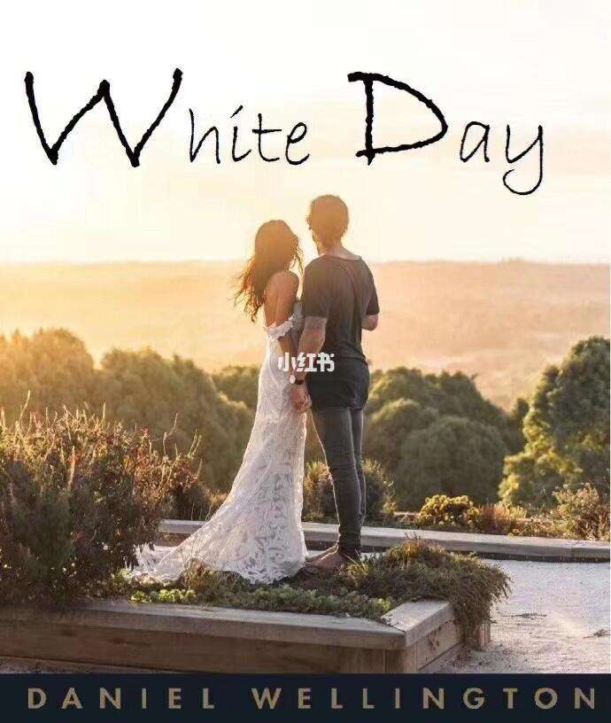 whiteday安卓版everything软件下载安装